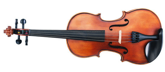 PARROT VIOLIN