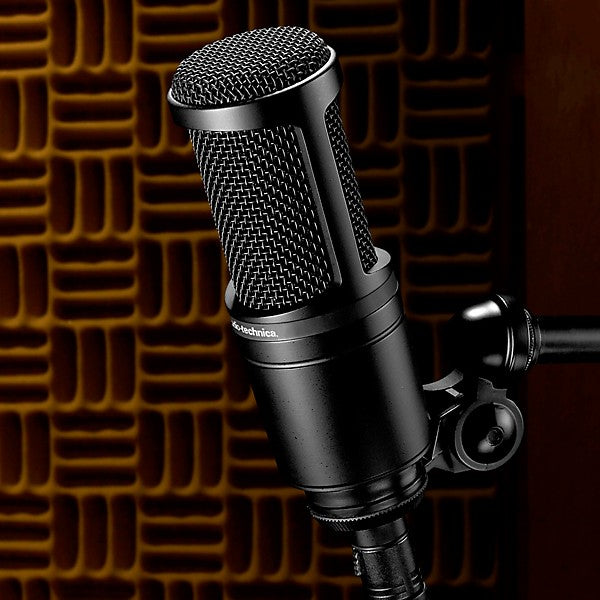Audio-Technica AT2020 condenser microphone