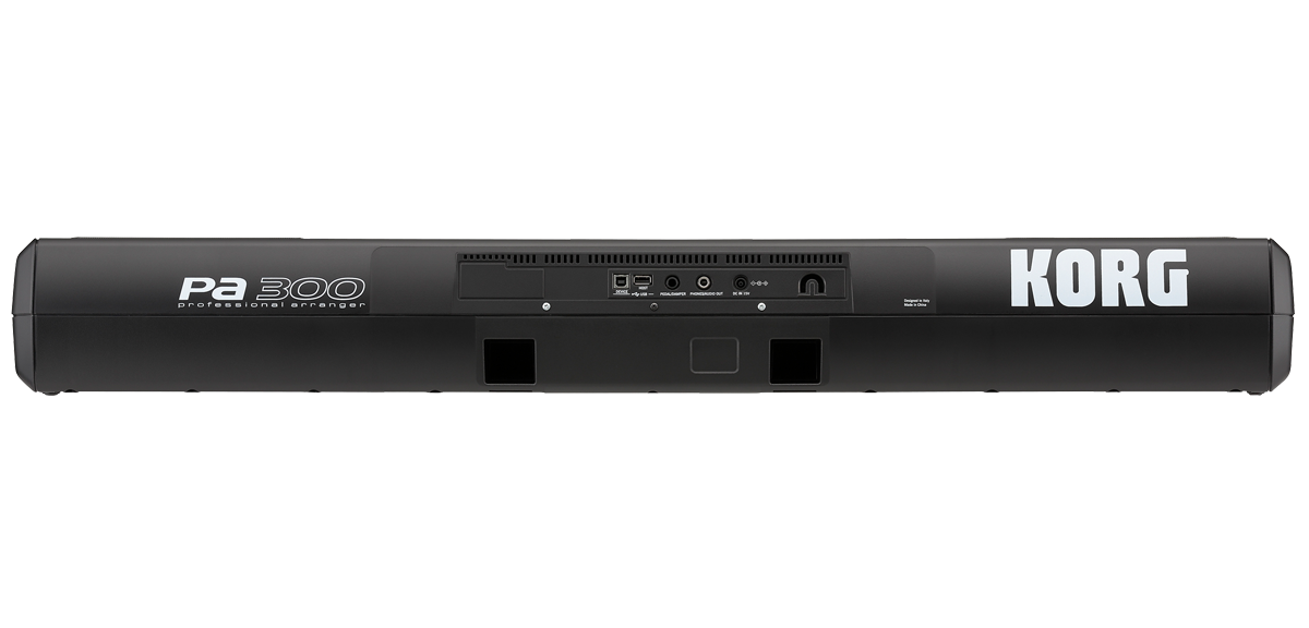 KORG PA300