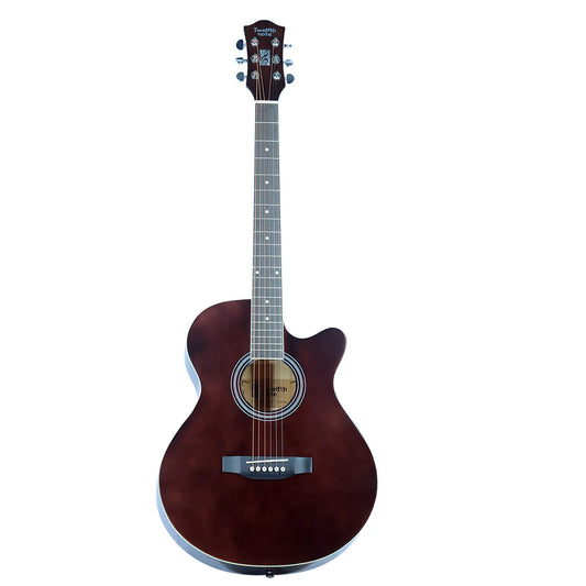 Twelfthnote Semi Acoustic Guitar BROWN