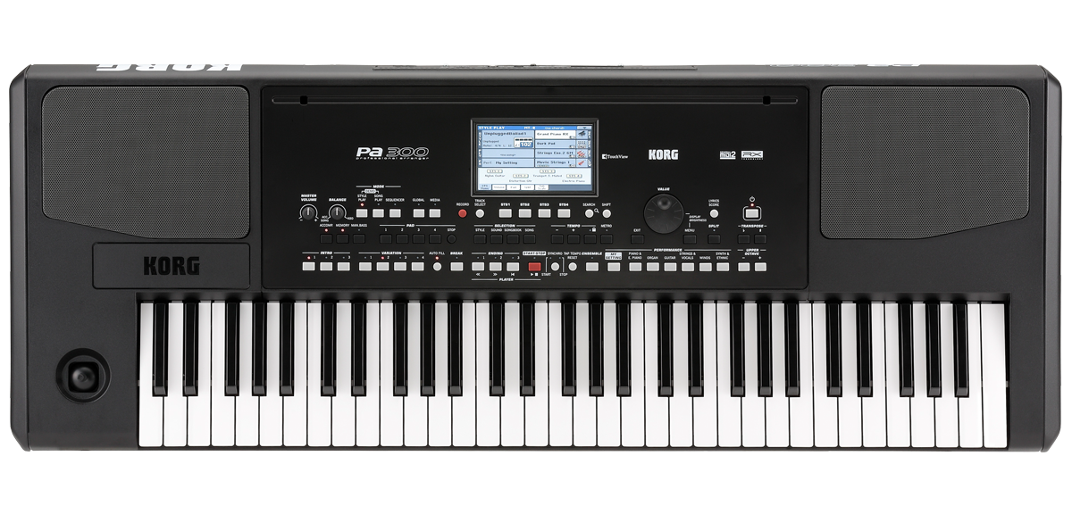 KORG PA300