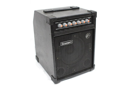 Stranger PM40 Amplifier Speaker