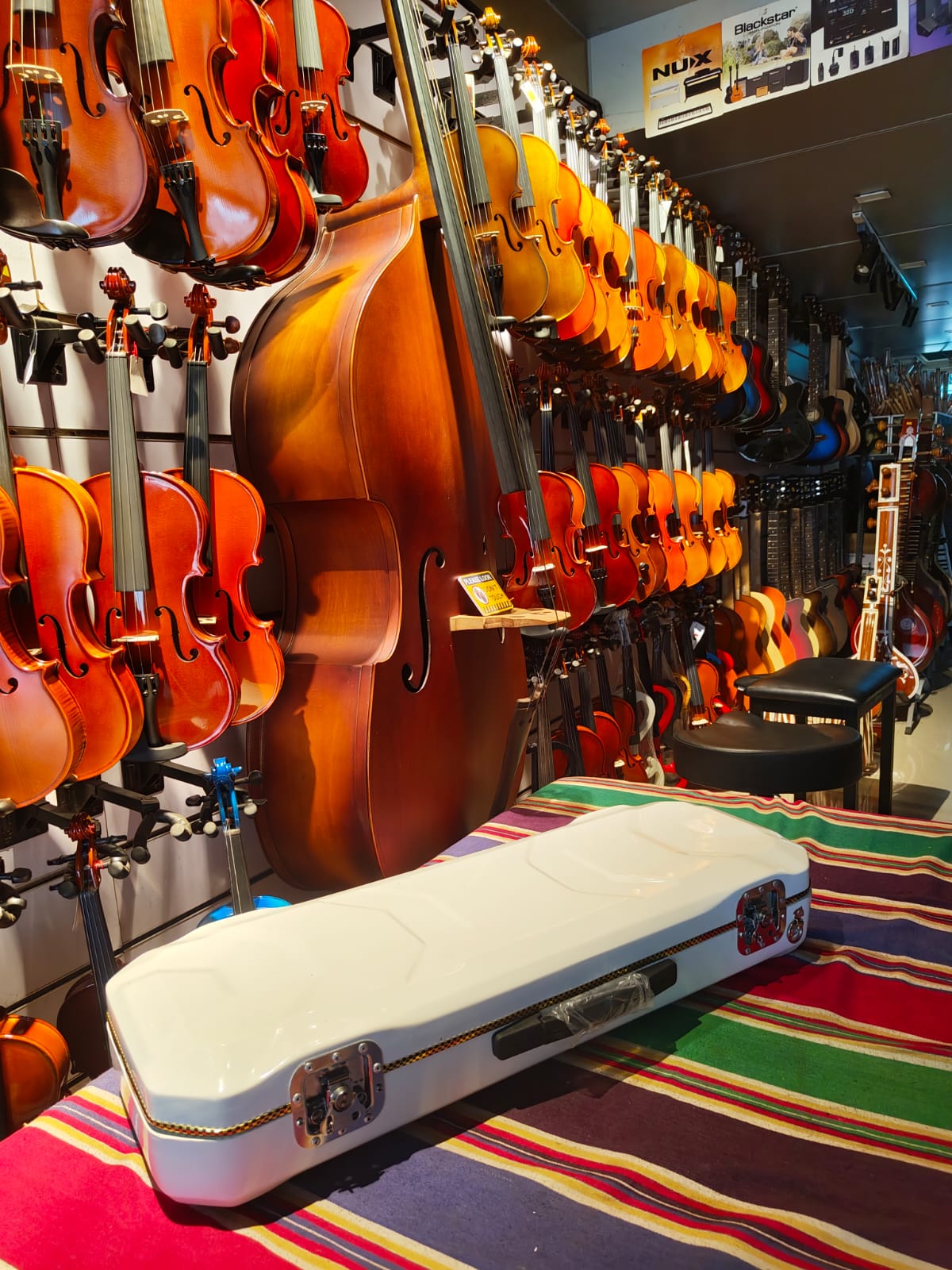 VIOLIN FIBER CASE