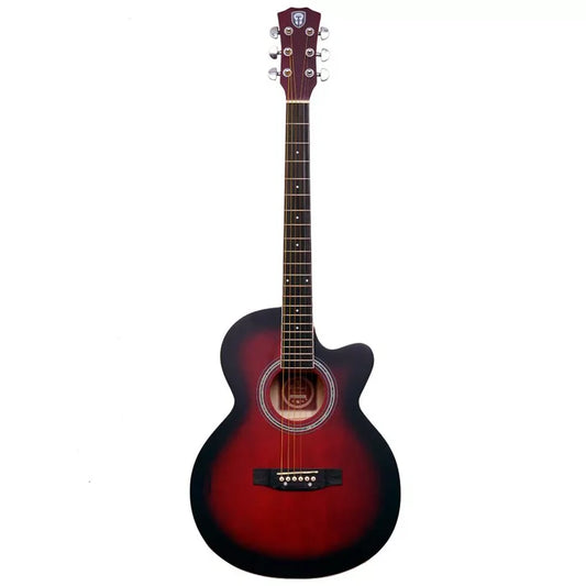 Techno TM39P Acoustic Guitar